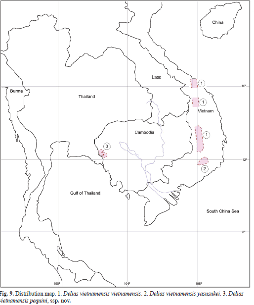 Delias vietnamensis localities